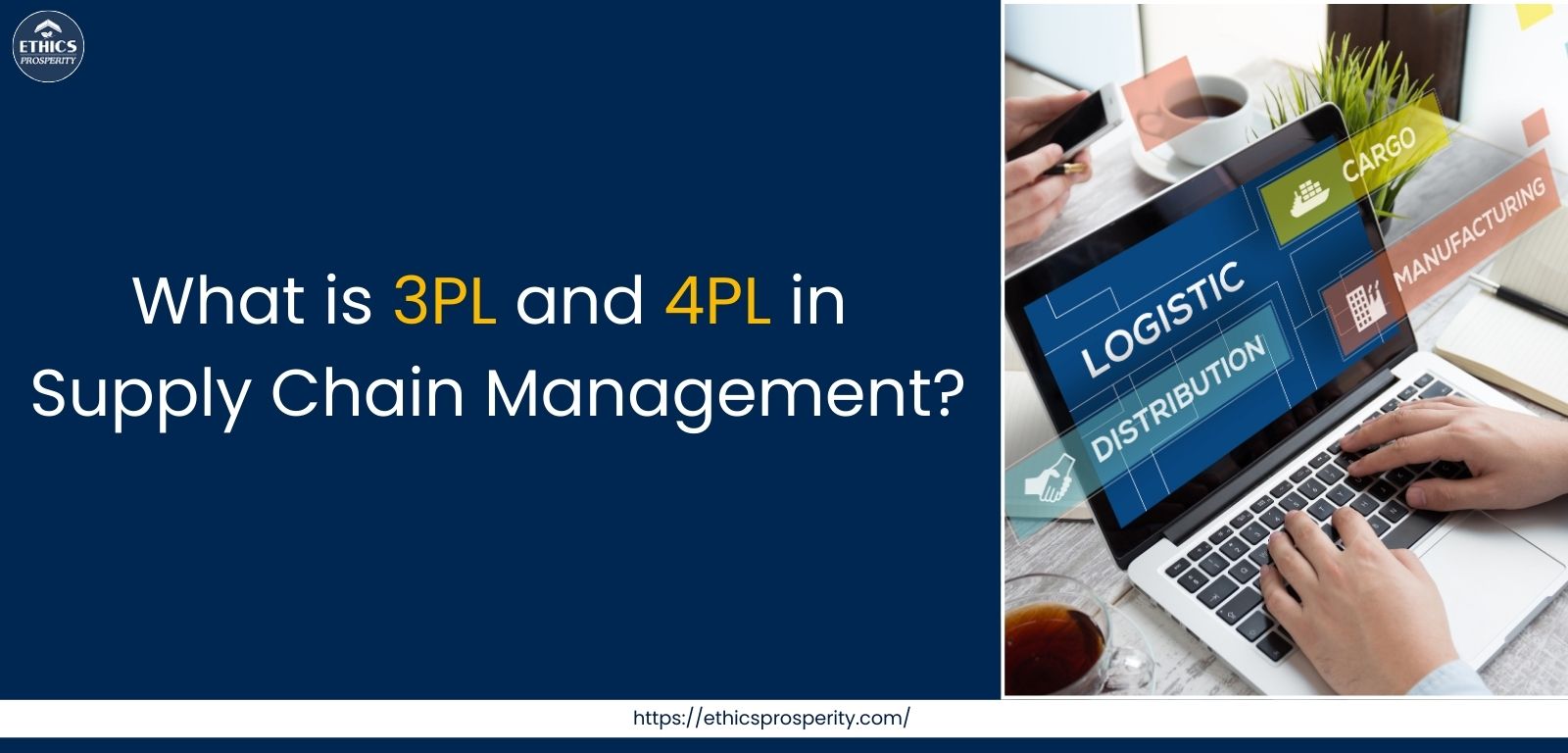 What is 3PL and 4PL in Supply Chain Management?